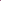 Red Pigeon Discus (Symphysodon aequifasciatus)